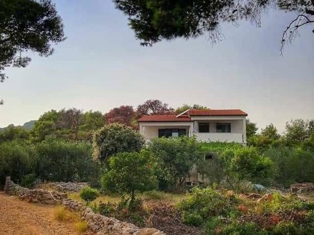 Apartmani Lina Veliki Drvenik Exteriér fotografie